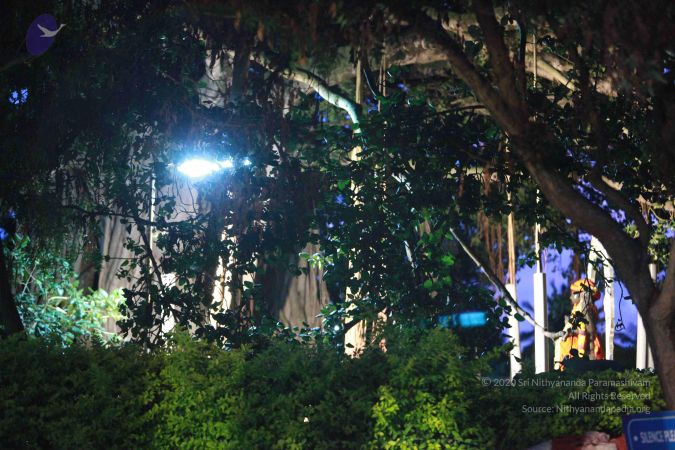 20090906 Photo 1009 1nm11vXPfMNQED2xbV9Ja6nJXC058-68m.JPG