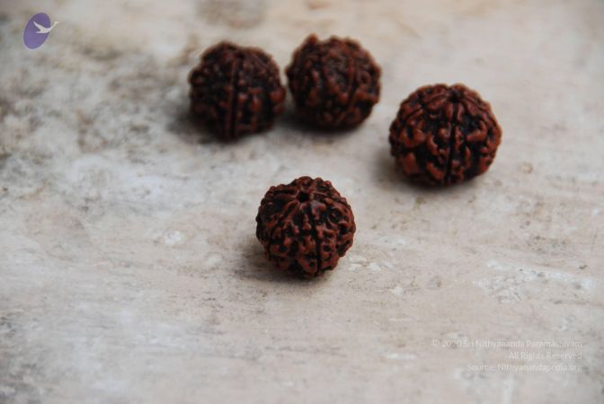 20090906 Photo 1099 1jw-fjSzepXl1GBwuLrgi7rXKYFWvT4BR.JPG