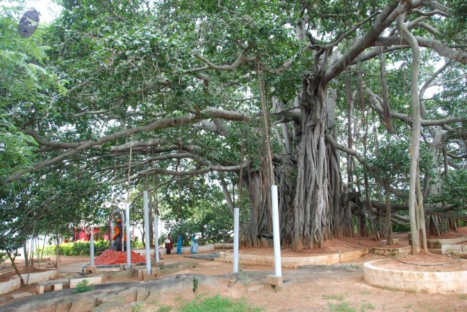 20090907 Photo 1123 1oMQL08vnpqdYJWtIsXtToxiTDRf1CnGY.JPG