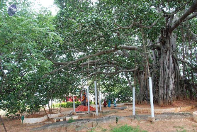 20090907 Photo 1124 1nk91AMZFvo78YRFGB5QbIZ22EbAhwINT.JPG