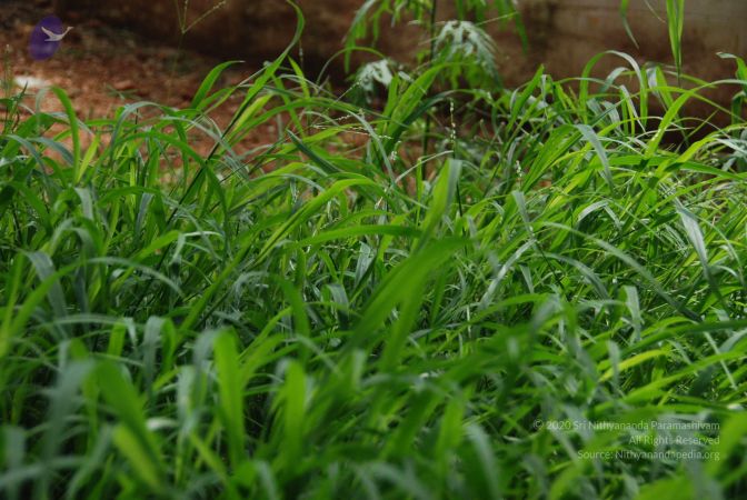 20090907 Photo 1134 17X4UEGiXT4MrH8UdjPvx4I0OQ4P1UIyj.JPG