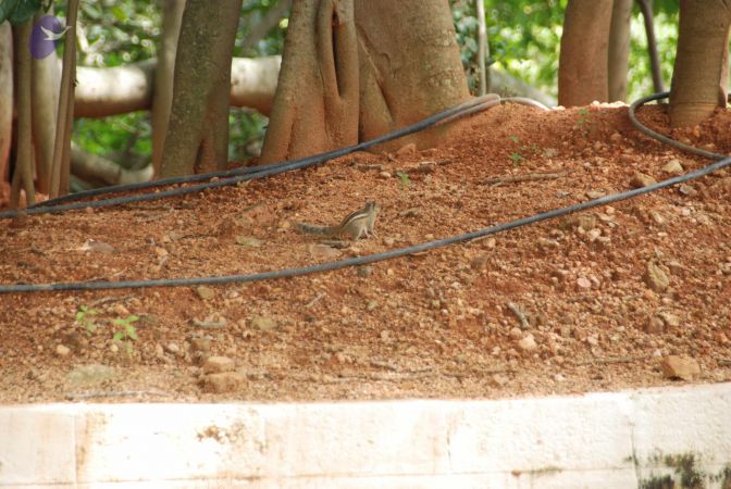 20090907 Photo 1136 12TqP-l49-xlSFDZOQOtDaJUUjNEqzqe1.JPG