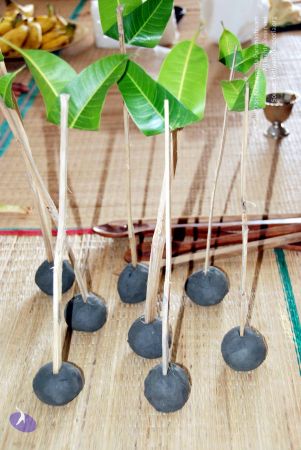 20090925 DSC 1940 CMP WM01.jpg