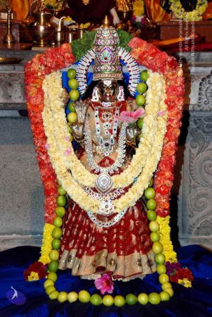 20090926 DSC 2574 CMP WM 00.jpg