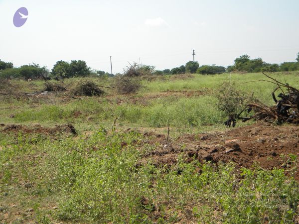 20091002 Photo 1077 1fyNXSwmag2anV87niG7Chuy5Uog1lFk0.JPG