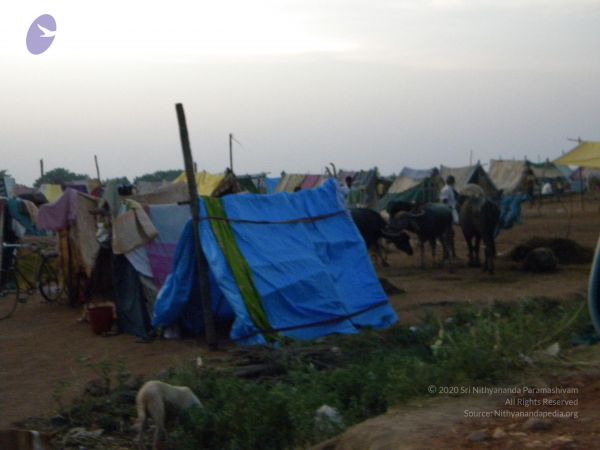 20091002 Photo 1097 1sUeoMG8-aHzjaW6TtLA2EWS7vwM3vaQR.JPG