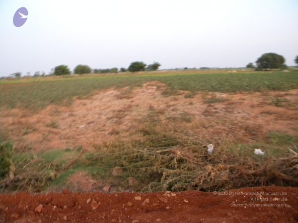 20091002 Photo 1100 1JqhGSRV5EFPpL 0sh IxOszlFvBKT ov.JPG