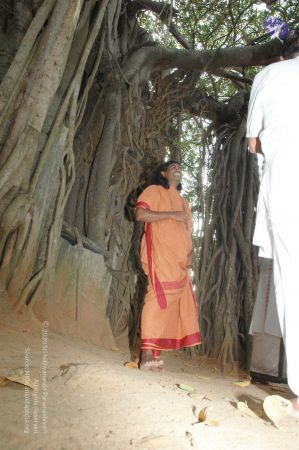 20091021 DSC 8149 CMP WM00-1.jpg