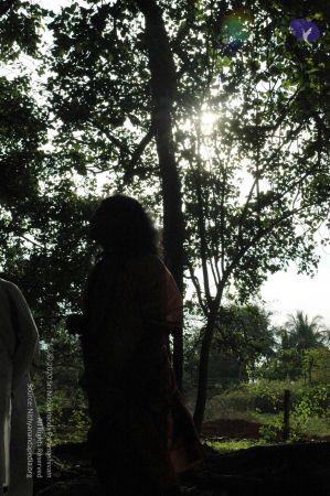 20091021 DSC 8156 CMP WM00-1.jpg