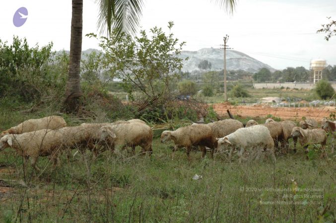 20091021 DSC 8169 CMP WM00-1.jpg