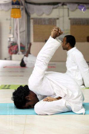 20091107 IMG 3134 CMP WM 0000.jpg