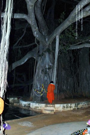 20091119DSC 9126 CMP WM001.jpg