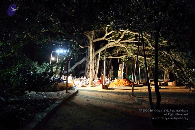 20091119IMG 6807 CMP WM001.jpg