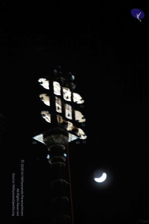 20091120IMG 7039 CMP WM001.jpg