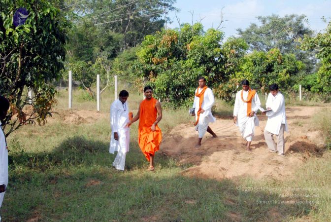 20091125DSC 0726 CMP WM001.jpg