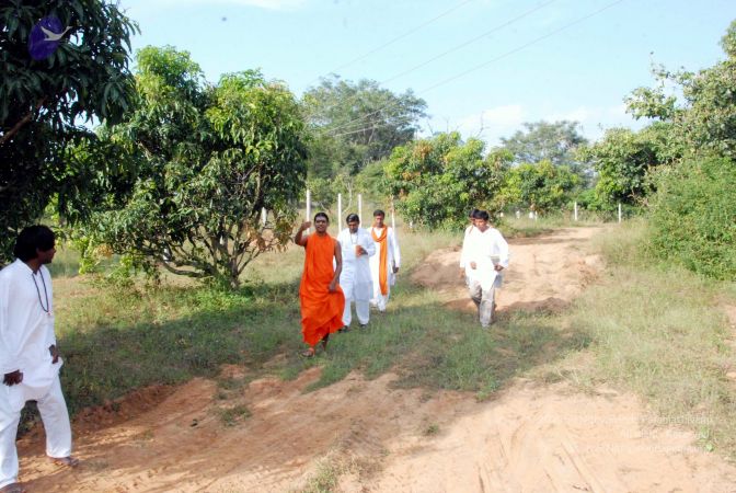 20091125DSC 0729 CMP WM001.jpg