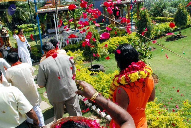 20091125DSC 0841 CMP WM001.jpg