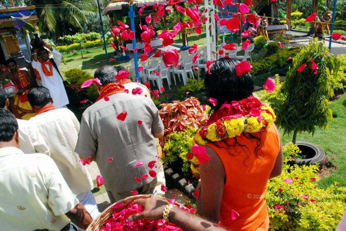 20091125DSC 0843 CMP WM001.jpg