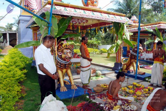 20091125DSC 0876 CMP WM001.jpg