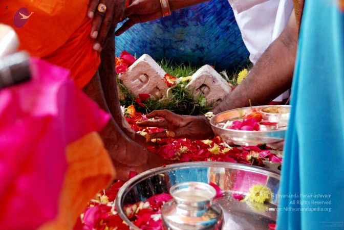 20091125DSC 0937 CMP WM001.jpg