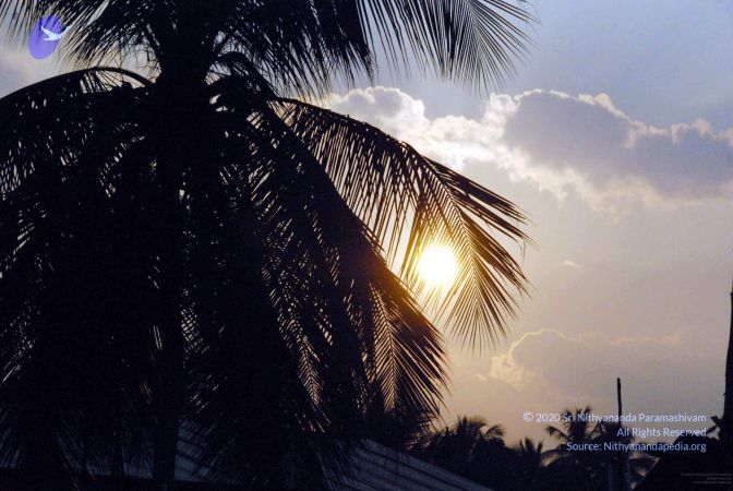 20091126DSC 1428 CMP WM001.jpg