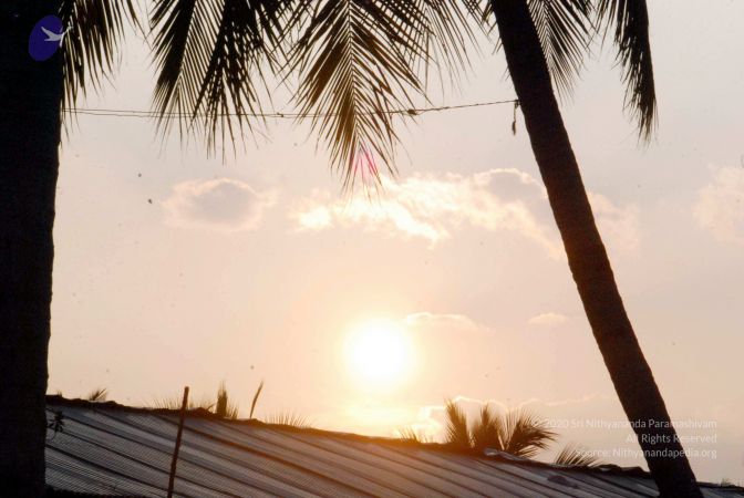 20091126DSC 1429 CMP WM001.jpg