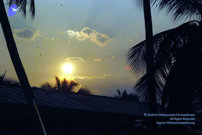 20091126DSC 1432 CMP WM001.jpg