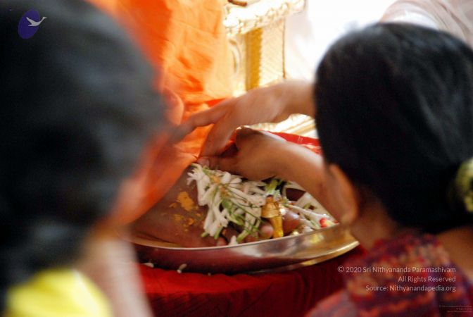 20091127DSC 1676 CMP WM001.jpg