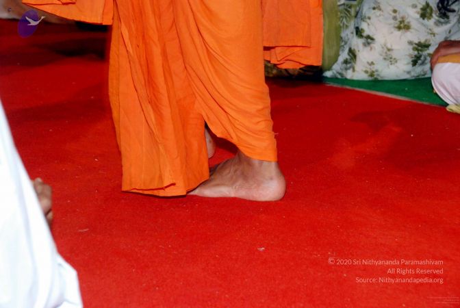 20091128DSC 2135 CMP WM001.jpg