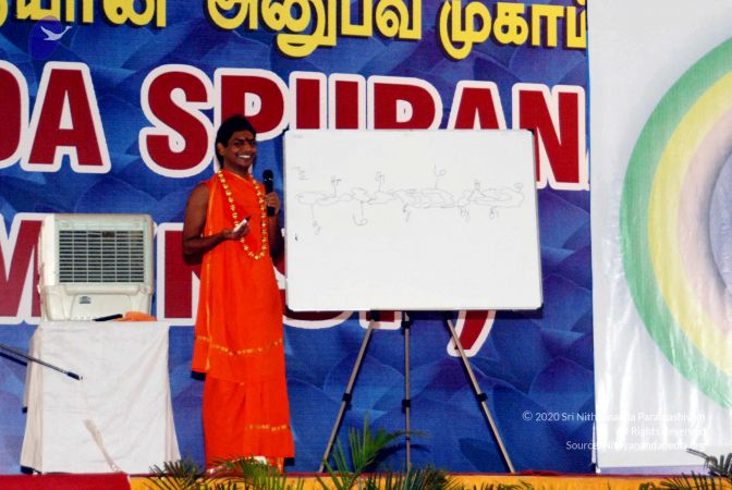 20091129DSC 2434 CMP WM001.jpg