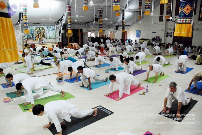 20091201DSC 3710 CMP WM001.jpg