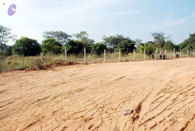 20091201DSC 3761 CMP WM001.jpg