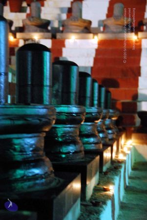 20091201DSC 4027 CMP WM001.jpg