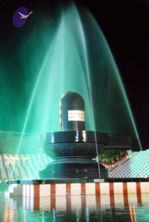 20091201DSC 4030 CMP WM001.jpg