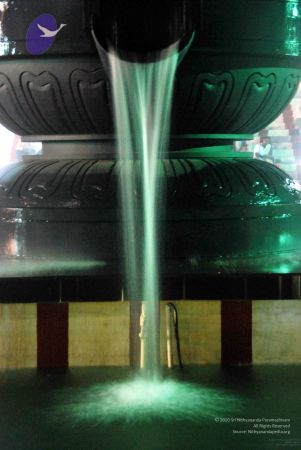 20091201DSC 4048 CMP WM001.jpg