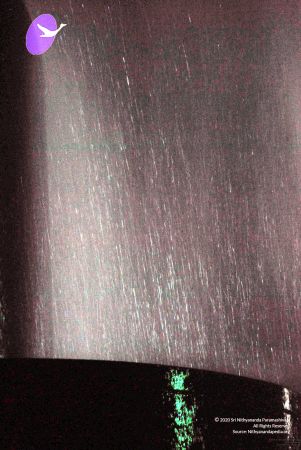 20091201DSC 4066 CMP WM001.jpg