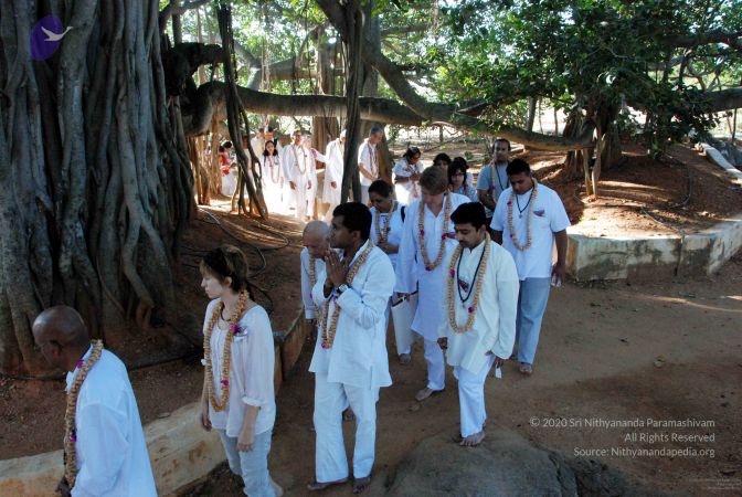 20091202DSC 4174 CMP WM001.jpg