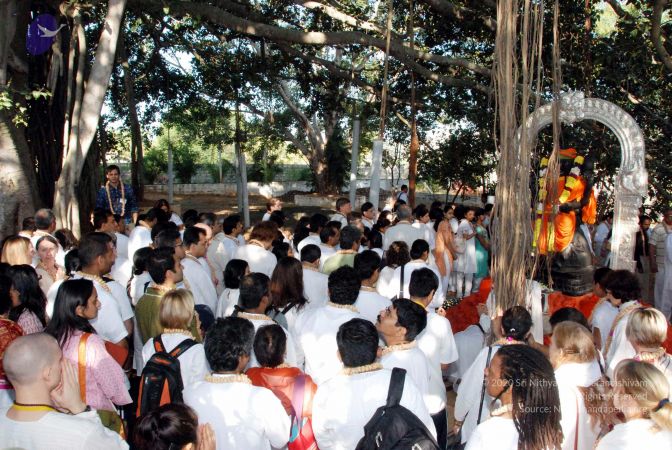 20091202DSC 4196 CMP WM001.jpg