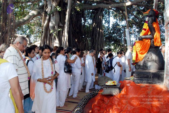 20091202DSC 4197 CMP WM001.jpg