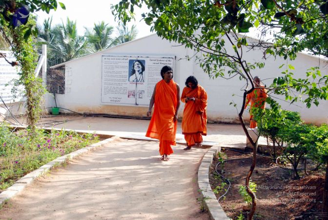 20091202DSC 4235 CMP WM001.jpg