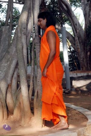 20091202DSC 4239 CMP WM001.jpg