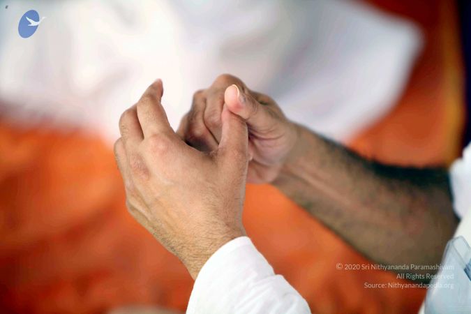 20091202IMG 0292 CMP WM001.jpg