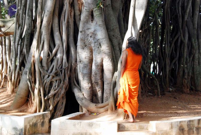 20091203DSC 4438 CMP WM001.jpg