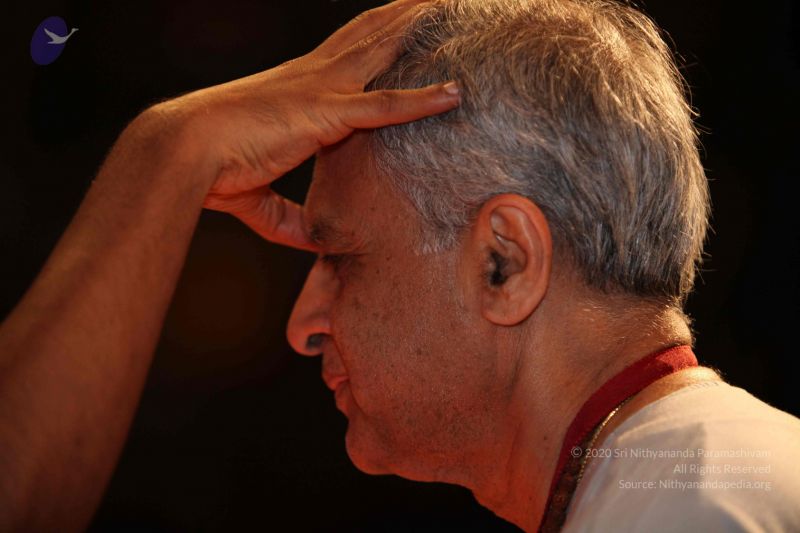 File:20091213 IMG 1791 CMP WM-29001.jpg