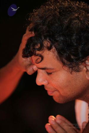 20091213 IMG 1822 CMP WM-52001.jpg