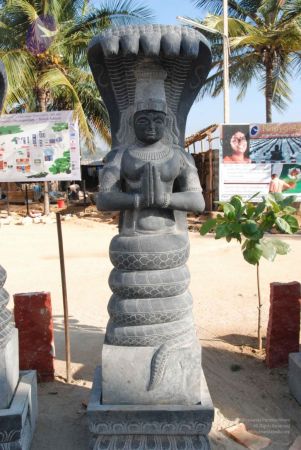 20091214 DSC 7525 CMP WM-14001.jpg