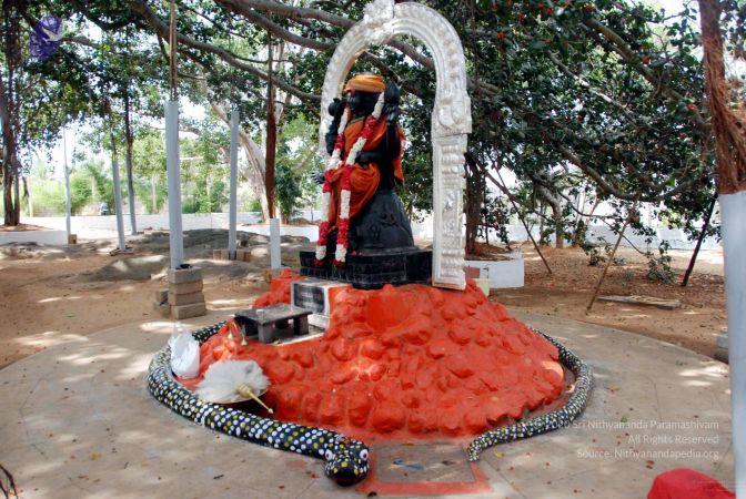 20091215DSC 8026 CMP WM001.jpg