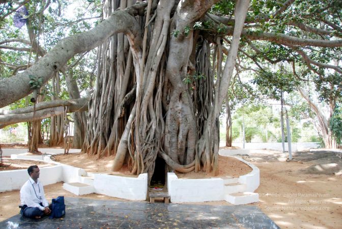 20091215DSC 8027 CMP WM001.jpg