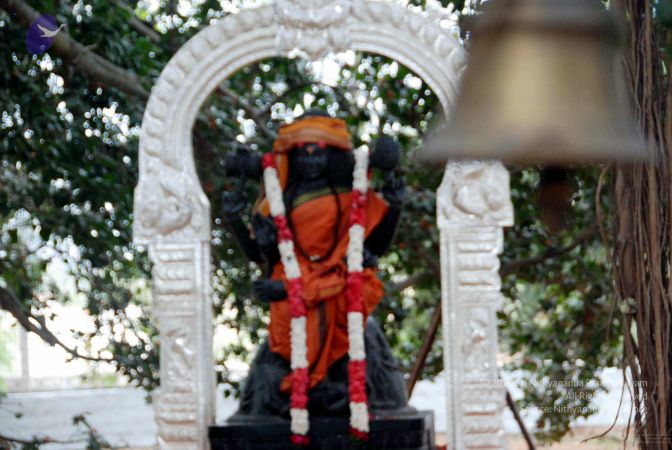 20091215DSC 8030 CMP WM001.jpg