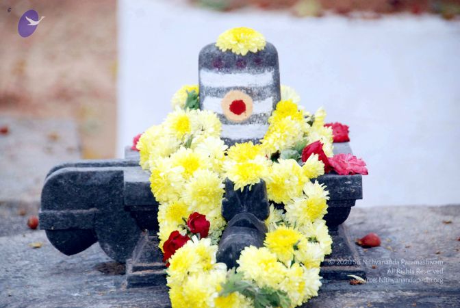 20091215DSC 8044 CMP WM001.jpg